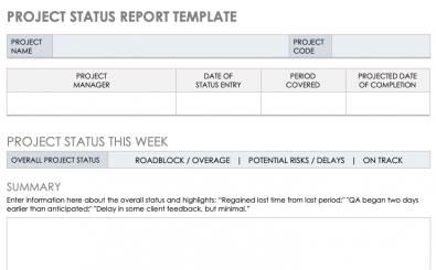 Development-Project-Status-Report-Template Development Project Status Report