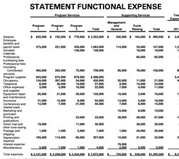 Non-Profit-Financial-Statement-Template Non Profit Financial Statement
